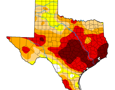 Rainwater Harvesting | Drainage | Graywater | Contractor in Austin, Texas